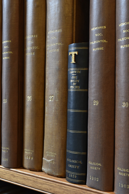 Darwin's Origin of the Species secreted in a bookcase